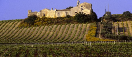 Vignes siciliennes. Photo d'illustration. © JËrg Heimann / AFP